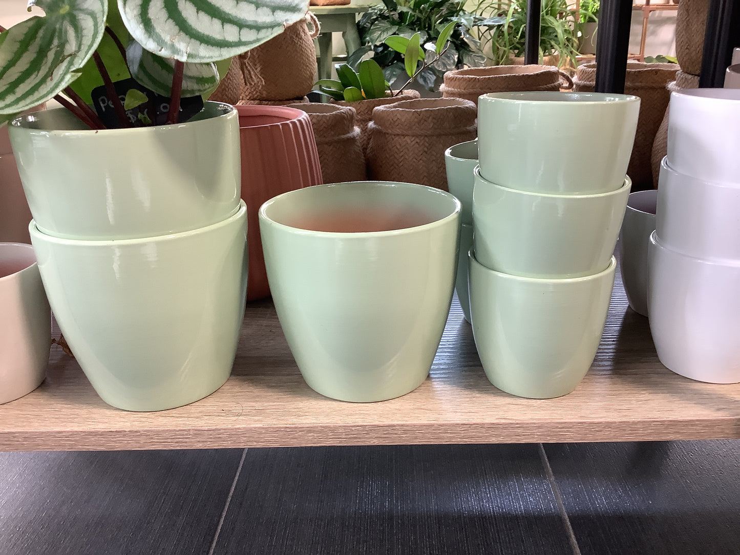 TERRACOTTA
