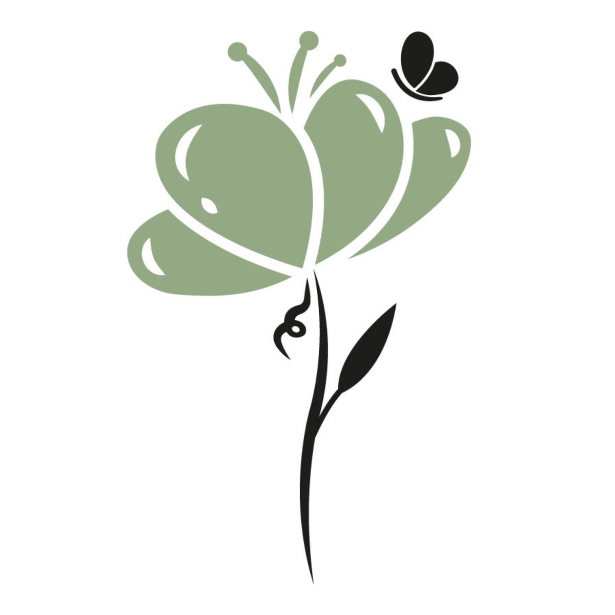 Fleurs séchées