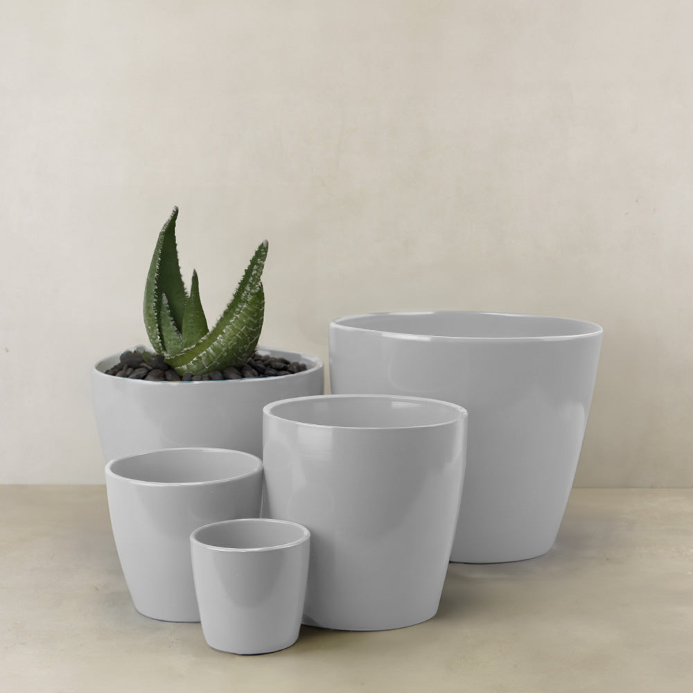 TERRACOTTA