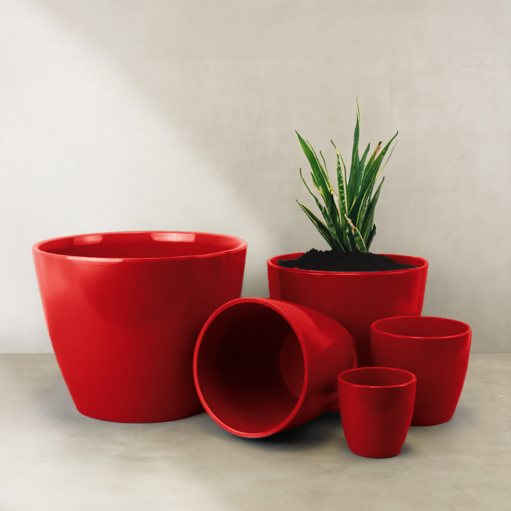 TERRACOTTA