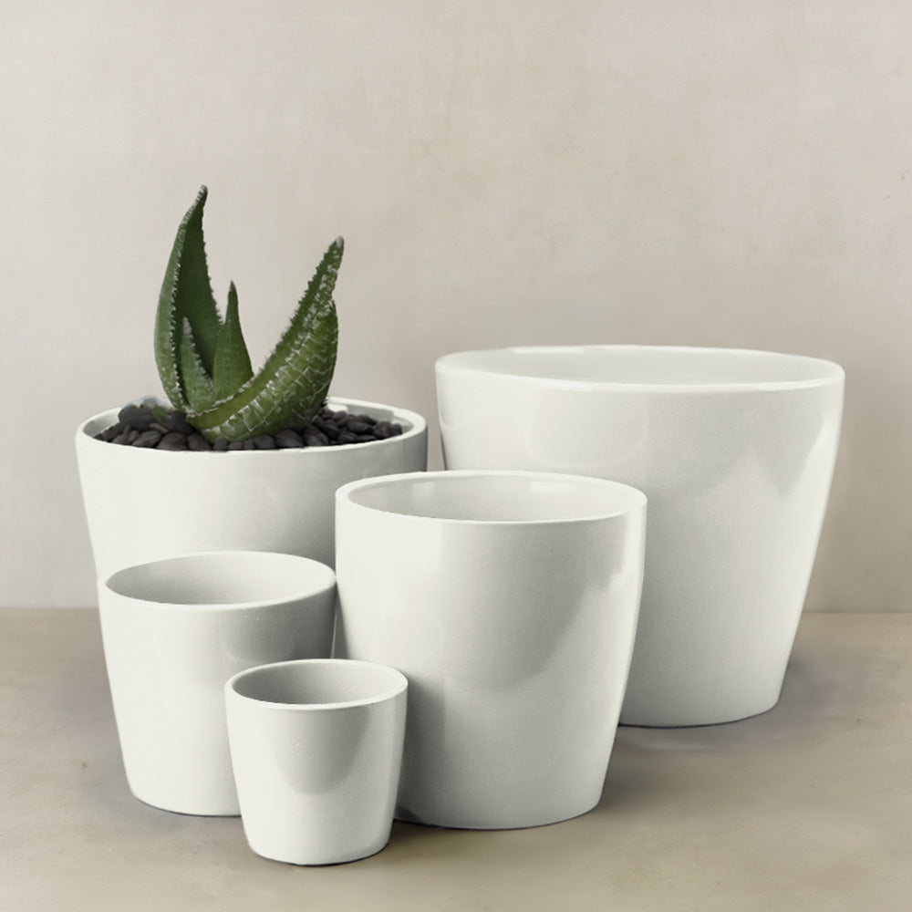 TERRACOTTA