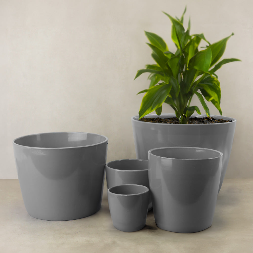 TERRACOTTA
