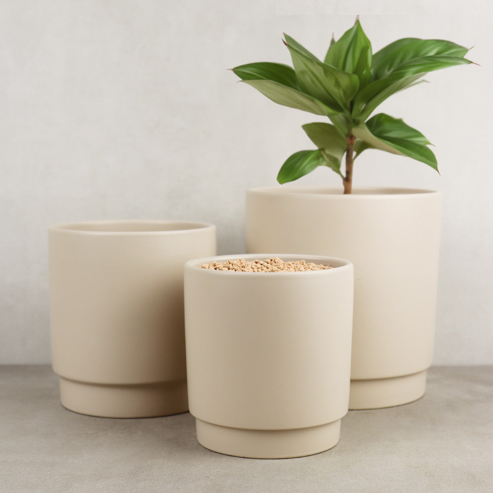 TERRACOTTA